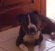 KAISER