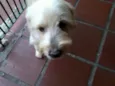 menino