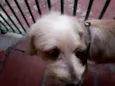 menino