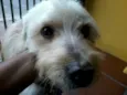 menino