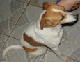 Chellsea