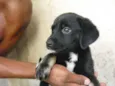 indefinido