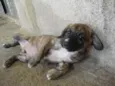 indefinido