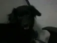TITINHA