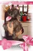hanna