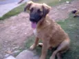 Sem nome