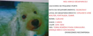 Cachorro raça Poodle idade 4 anos nome CLÁUDIO GRATIFICA