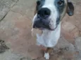 Nick