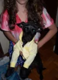 Pitucha