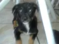Nina