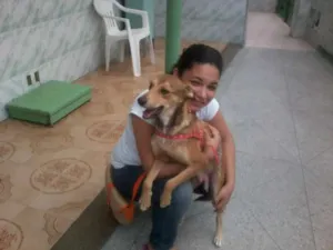 Cachorro raça SRD idade 1 ano nome Xuxu