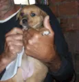 BOLINHA