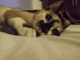 Nadia
