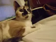 Nadia
