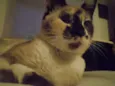 Nadia
