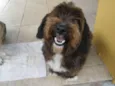 REX
