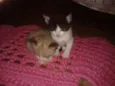 lola;mel 