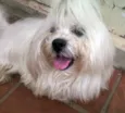 ENCONTRADO - PROCUR