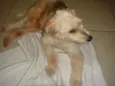 Pity