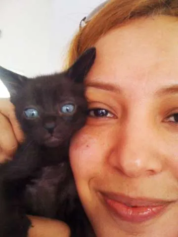Gato ra a não tem  idade Abaixo de 2 meses nome Saci Pereira 