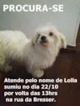 Lolla
