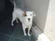 Jack