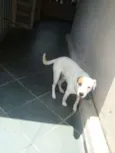 Jack