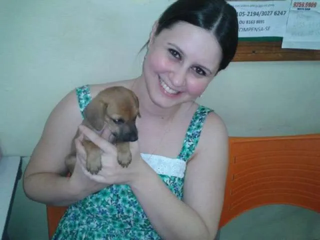 Cachorro ra a SRD idade Abaixo de 2 meses nome Pingo