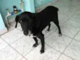 Bob