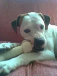 BATATA