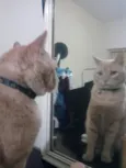 Prejuizo