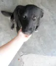 Marley