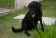 Lua