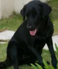 Lua