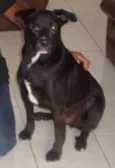 Tobias