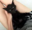 Lulu