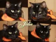 Jolie