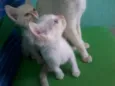 sem nome
