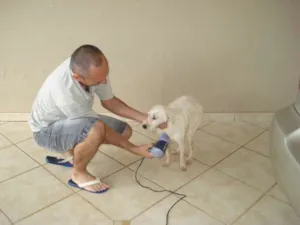 Cachorro raça SRD idade 4 anos nome Branquinho