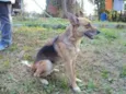 Princesa