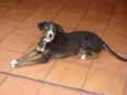 Pit