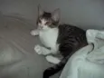 Miúda
