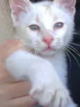 Bebê