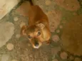 José