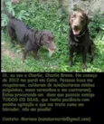 Charlie