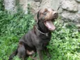 Charlie