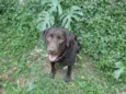 Charlie