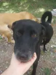 Nome desconhecido