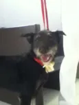 Tieta