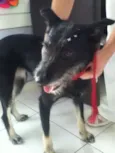 Tieta